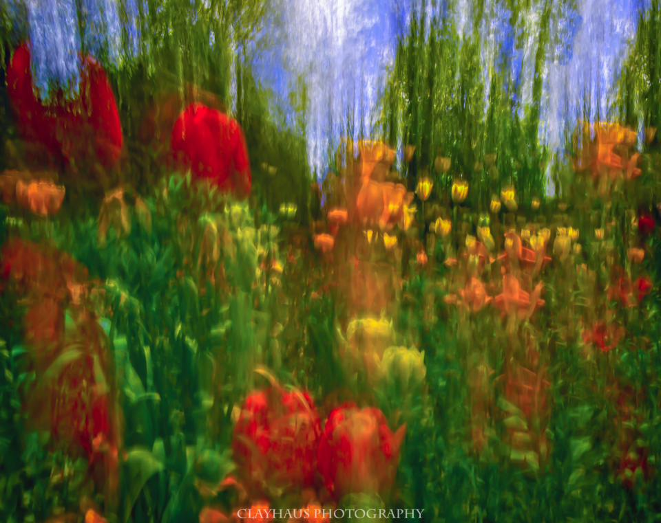 Photographic Impressionism in Monet&#039;s Garden
