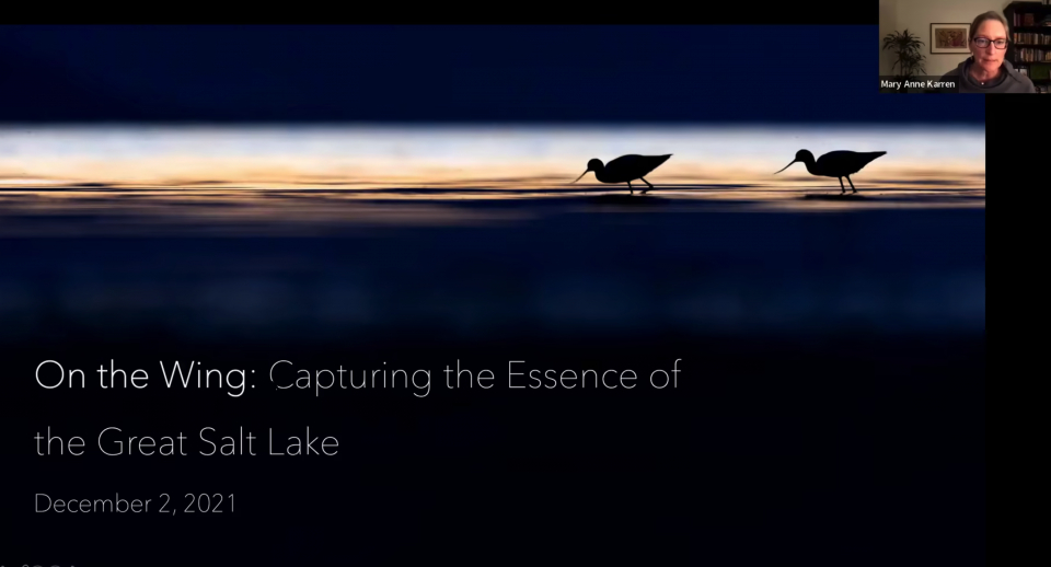 Video for &quot;On the Wing: Capturing the Essence of the Great Salt Lake Presentation&quot;