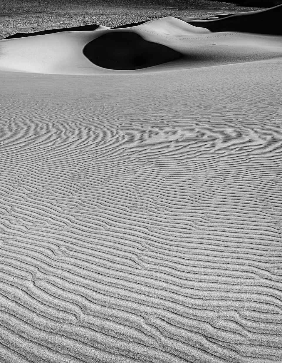 The Grace of Dunes