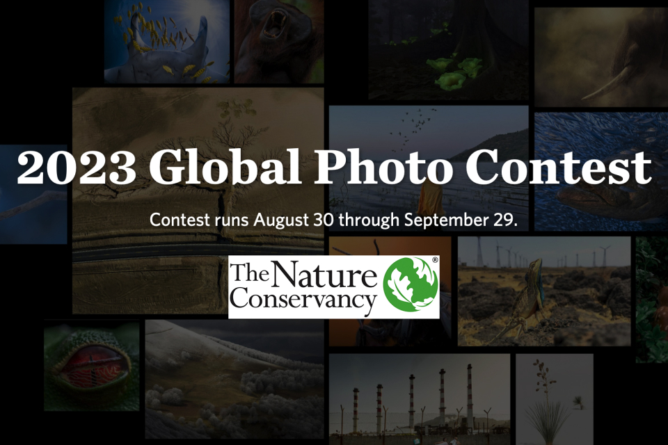 The 2023 Nature Conservancy Global Photo Contest