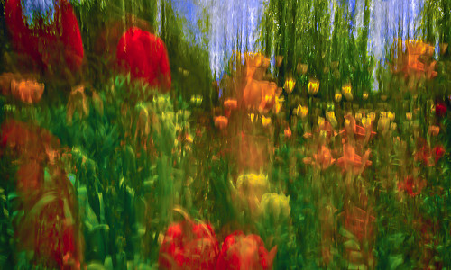 Photographic Impressionism in Monet's Garden