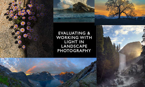 Resources from Nic Stover's Evaluating & Working with Light in Photography Presentation