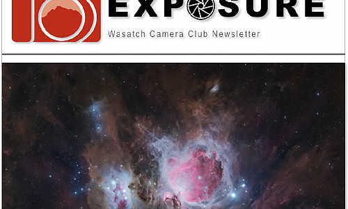 Exposure newsletter - Volume 1, Issue 2