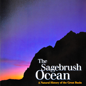 6 Sagebrush Ocean